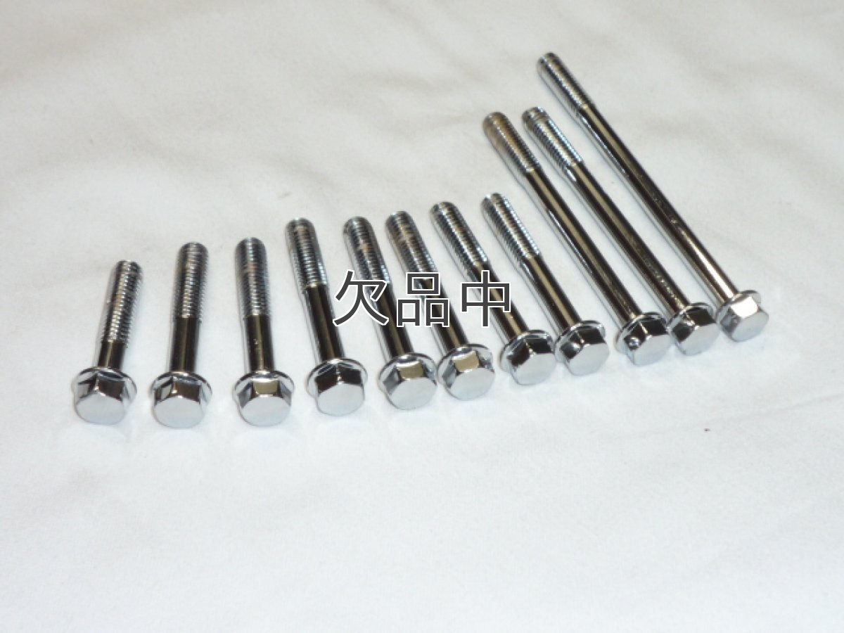 画像1: 【ホンダ 純正】 クロムメッキ処理済クランクケースカバーボルト  (1)