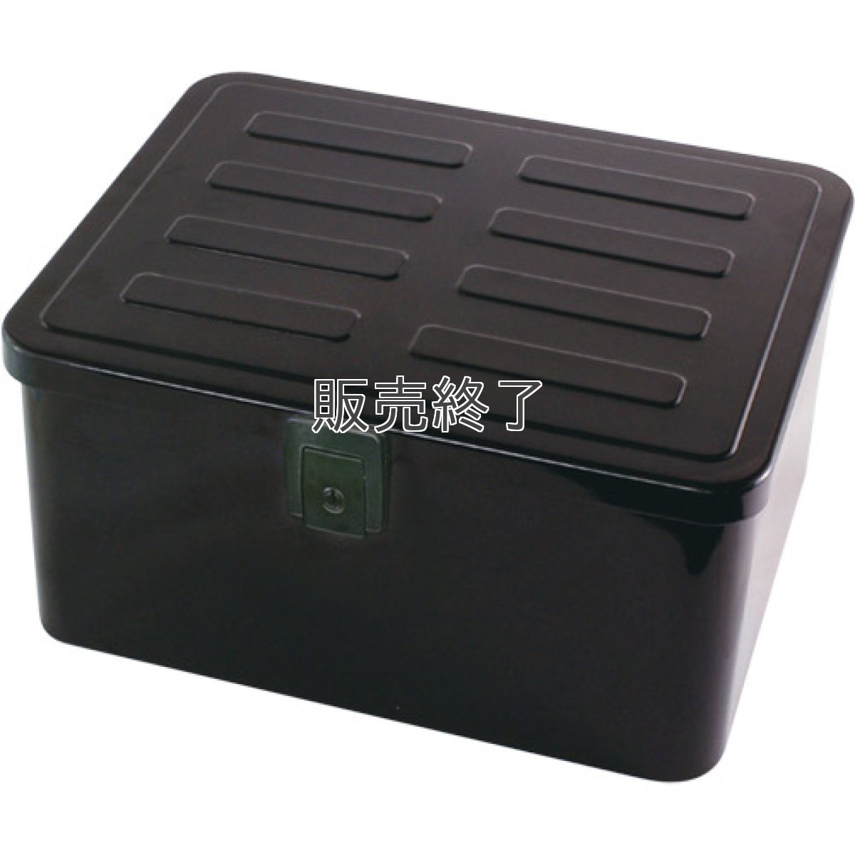 画像2: ラゲージボックス(中)  (2)