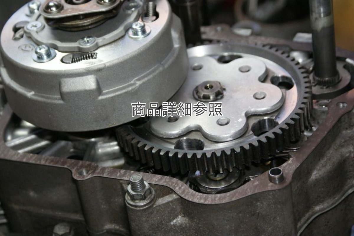 画像7: 超軽量スポーツプライマリードリブンギア[69T]Ver.2 [ノスタルジックスポーツワークス]  (7)