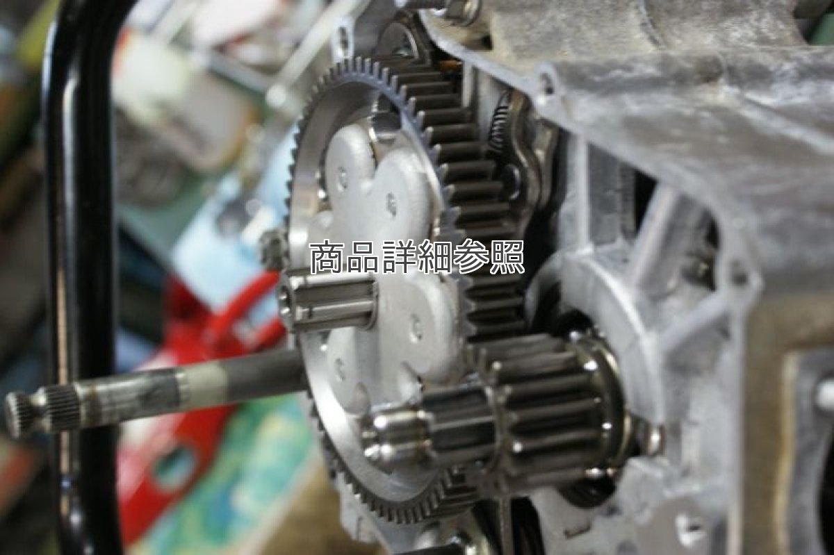 画像5: 超軽量スポーツプライマリードリブンギア[69T]Ver.2 [ノスタルジックスポーツワークス]  (5)