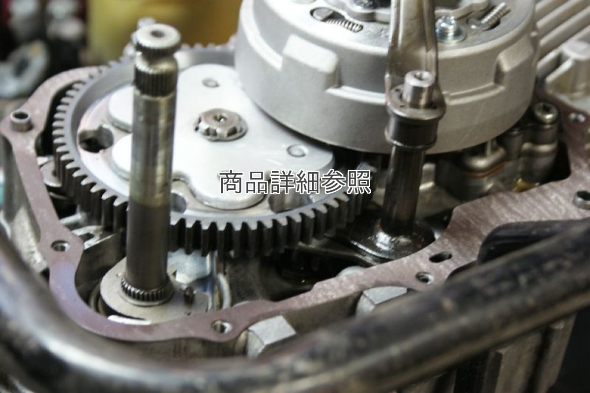 画像6: 超軽量スポーツプライマリードリブンギア[69T]Ver.2 [ノスタルジックスポーツワークス]  (6)