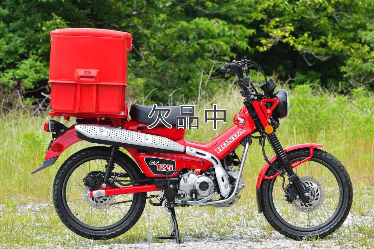 画像4: 集配用大型キャリーボックス[赤]*  (4)